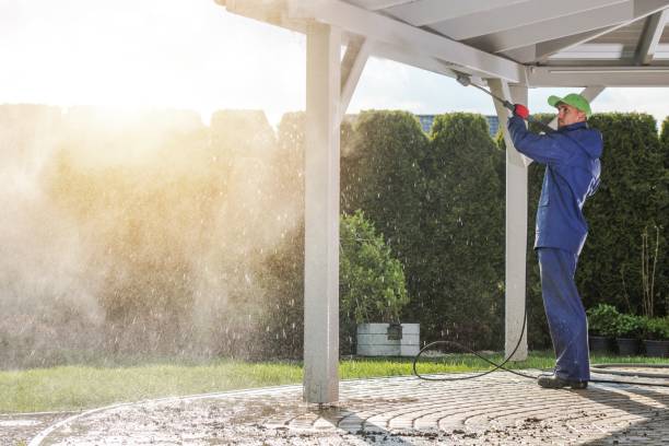 Best Patio and Deck Pressure Washing  in Waimalu, HI